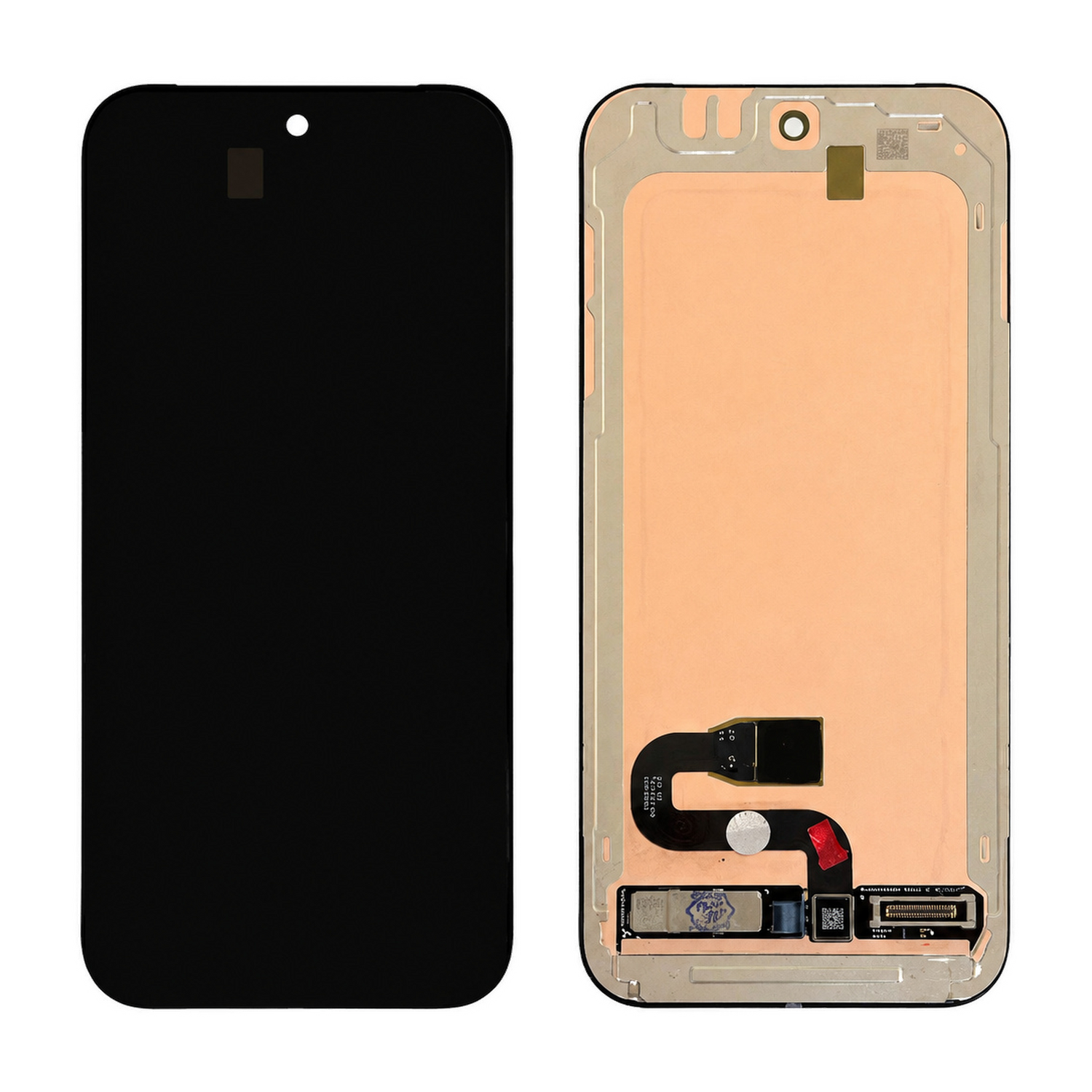 OLED Display for Google Pixel 10